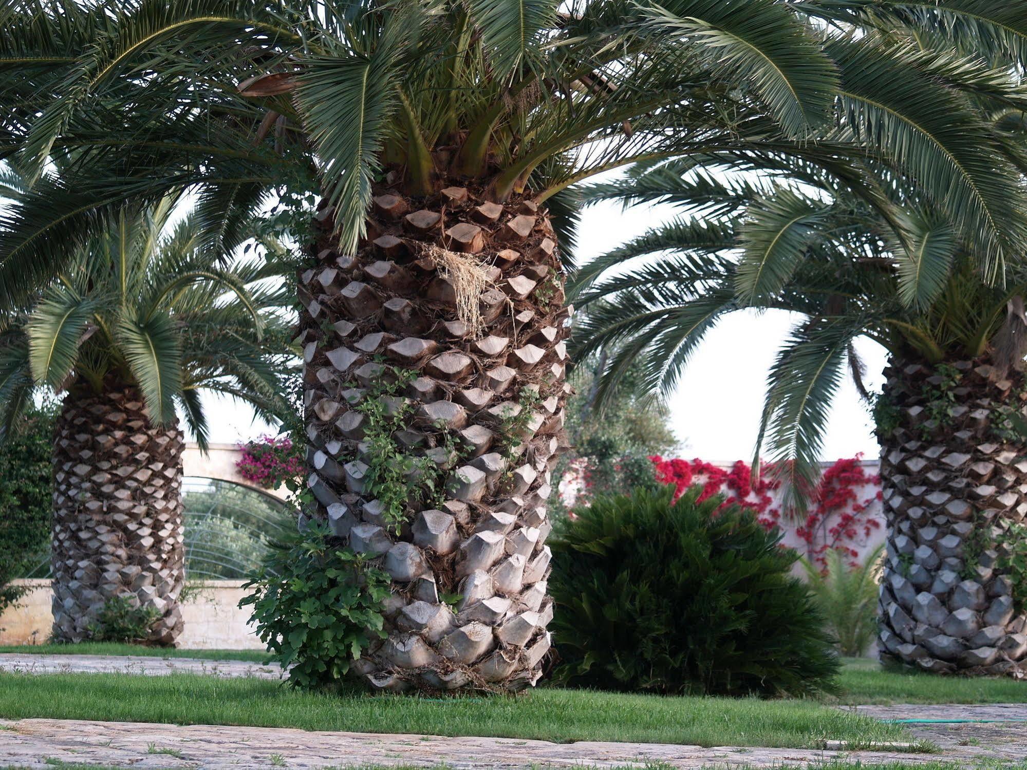Hotel Masseria Tutosa Ostuni Εξωτερικό φωτογραφία
